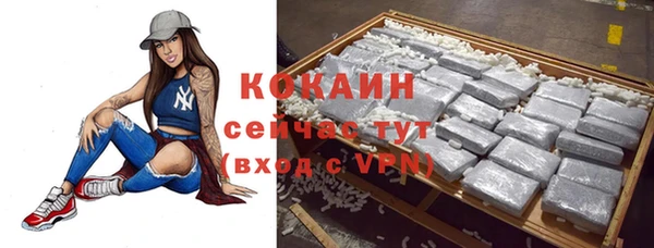 стаф Магас