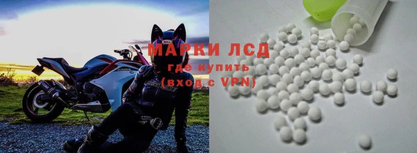 стаф Магас