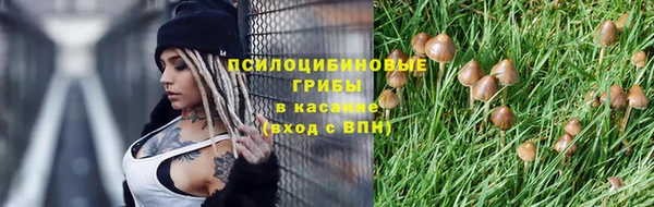 твердый Магадан