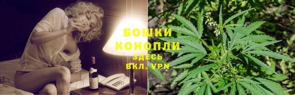 стаф Магас