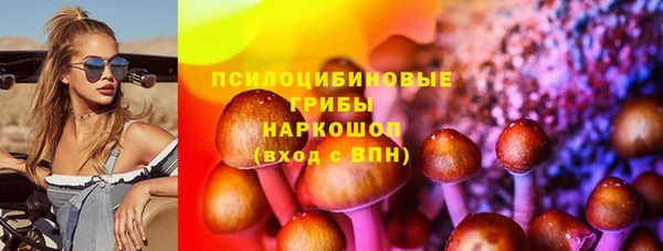 стаф Магас